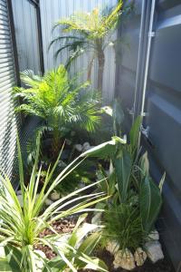 Ảnh trong thư viện ảnh của awaJ Beach Club アワジェイビーチクラブ ở Awaji +106 ảnh