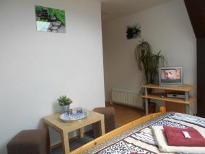 a bedroom with a bed and a table and a tv at Pension a Restaurant VESNA - České Švýcarsko in Srbská Kamenice