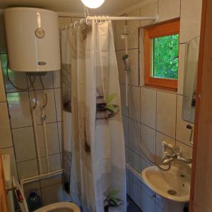ein Badezimmer mit Duschvorhang und Waschbecken in der Unterkunft Hideaway with a view in Žabljak