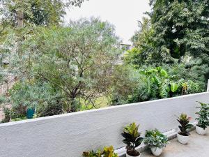 Zahrada ubytování Grove Residency Hauz Khas Couple Friendly New Delhi