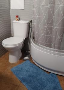 a bathroom with a toilet and a bath tub at Zakątek Jodłowa in Suwałki +27 photos