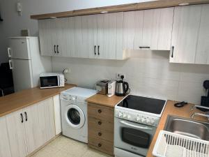 a kitchen with a washing machine and a sink at Mersey Faros Complex in Perivolia