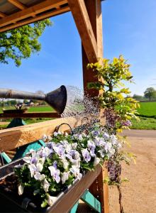 Vườn quanh Pipowagen +4 ảnh