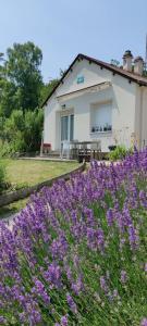 a house with purple flowers in front of it at Le cocon du Zoo de Beauval in Mareuil-sur-Cher