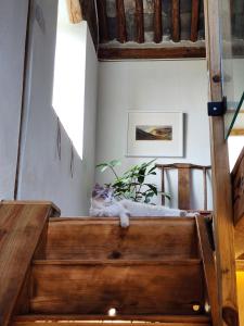 Fotografie z fotogalerie ubytování Secret Moon Guesthouse v destinaci Ta-li