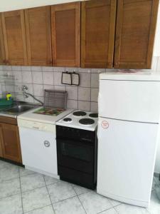 Kuchyň nebo kuchyňský kout v ubytování Apartment Cesarica - Velebit Riviera 31088