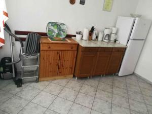 Kuchyň nebo kuchyňský kout v ubytování Apartment Cesarica - Velebit Riviera 31088