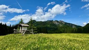 a field with a gazebo in a field of flowers at Gasthof Hirschen in Sibratsgfäll