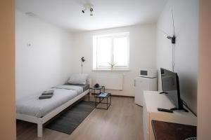 Televiisor ja/või meelelahutuskeskus majutusasutuses Apartmány Stdaniela