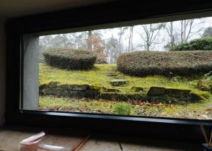 a window with a view of a yard with bushes at Kompakt und Gemütlich 1-Zimmer-Apartment in Ratingen