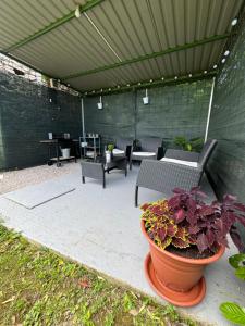 Zahrada ubytování Guesthouse Marija