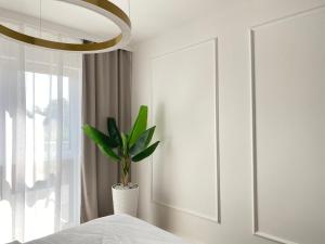 a white bedroom with a potted plant in a vase at Apartament DeLuxe Zamość Prywatny parking podziemny in Zamość