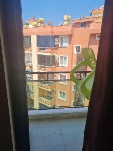 Imagen de la galería de SUN FIRE BEACH Hotel, en Alanya 54 fotos más