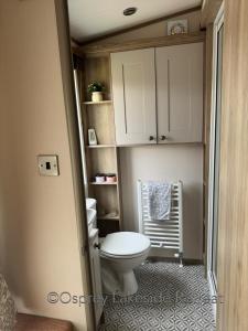 a small bathroom with a toilet and a cabinet at Lakeside Retreat with hot tub and fishing peg on Osprey Rise at Tattershall Lakes Country Park in Tattershall +21 photos