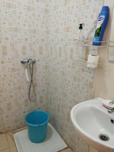 Koupelna v ubytování manal appartement