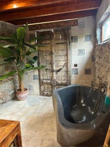 a large bath tub in a room with a plant at Cortijo Boutique Marbella in Marbella
