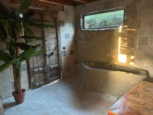 a bathroom with a tub and a potted plant at Cortijo Boutique Marbella in Marbella