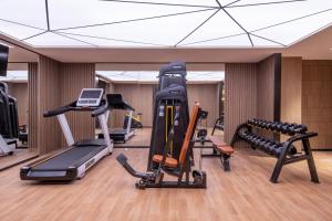 Fitness centrum a/nebo fitness zařízení v ubytování Crystal Orange Beijing South Railway Station Xitieying Hotel