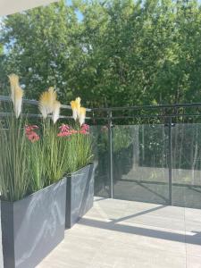 a metal fence with some flowers in it at Apartament Zielona Dzielnica in Gliwice