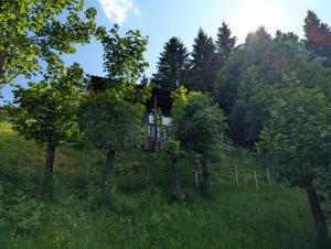 una casa in mezzo a un campo con alberi di Art-Lodge TinyHouses ad Afritz