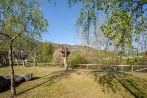 a tree in a field with a fence and trees at Apartamento con vistas Santa Maria in San Martín del Rey Aurelio