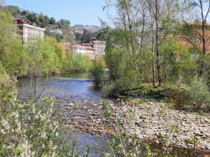 a river with trees and buildings in the background at Escapada a la montaña San Martín in Sotrondio