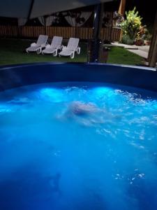 a pool of blue water with chairs and chairs in a yard at La Fermă in Şeíca Mare +24 photos