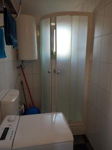 a bathroom with a shower and a toilet in it at Apartman Renata in Pula +24 photos