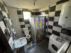 a bathroom with a sink and a toilet and a shower at Vila kraljice Teute in Jezero