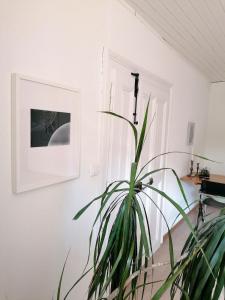 Fotografie z fotogalerie ubytování Apartment in Erlach v destinaci Erlach