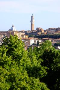 Vista general de Siena o vista desde el camping