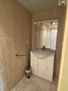 a bathroom with a sink and a toilet at La Ferme du Gorgin in Innimond