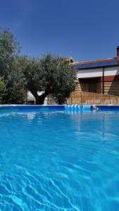 a large blue swimming pool with trees in the background at Casa Cavallaro con Piscina estiva, giardino e parcheggio in Pescara