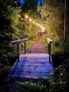 two benches sitting on a wooden walkway with lights at Private mini-villa retreat in nature in Penu