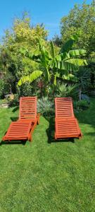 two orange benches sitting in the grass at Bolek apartmany in Veľký Meder