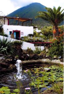 a pond in a garden with a fountain at Il Gelso Vacanze in Malfa