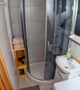 a bathroom with a shower and a toilet and a sink at Domki na Skalistej w Szczyrku in Szczyrk
