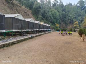 Imagen de la galería de CARAVAN CAPMS, en Shimla