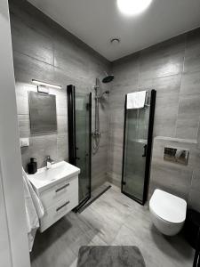 a bathroom with a shower and a toilet and a sink at Apartamenty pod Szczęśliwym Koniem 