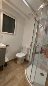 a bathroom with a toilet and a glass shower at Studio Cosy proche Futuroscope in Montamisé +11 photos
