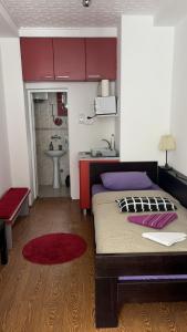 a bedroom with a bed and a sink and a bathroom at Dody Apartmani in Leskovac +25 photos