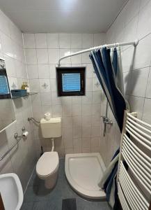 Koupelna v ubytování Apartma Karavanke