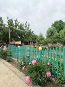 a blue fence with pink flowers in front of it at Azamat in Kara-Koo