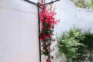 Un ramo de flores rojas colgado en una pared en La Casita de San Gonzalo, en Higuera de la Sierra