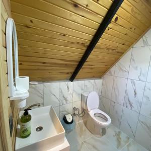 a bathroom with a toilet and a sink at Yelken Bungalows in Eskiömerler
