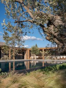 Gambar di galeri bagi Beachfront Villa Oneiro with Sea Views di Porto Heli