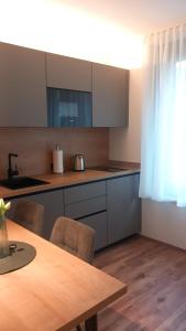 Kuchyň nebo kuchyňský kout v ubytování Bright & Modern Studios in Haselstauden