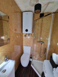 Un baño con inodoro, ducha y lavabo. en Wisla66 Domki nad Wisłą Piotrawin, 
