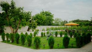 Zahrada ubytování Villa Ikalto