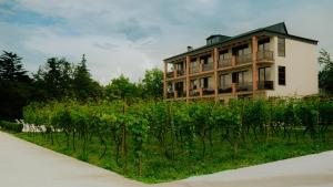 Zahrada ubytování Villa Ikalto